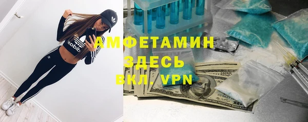 прущая мука Няндома