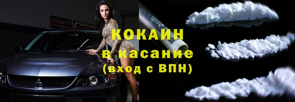 шишки Нязепетровск