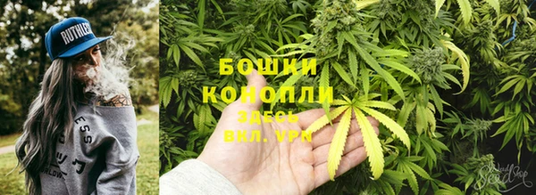 apvp Нягань